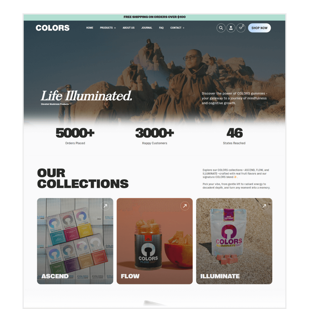 Colors Mushroom Website Example